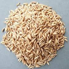 Paddy
