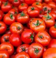 Tomato